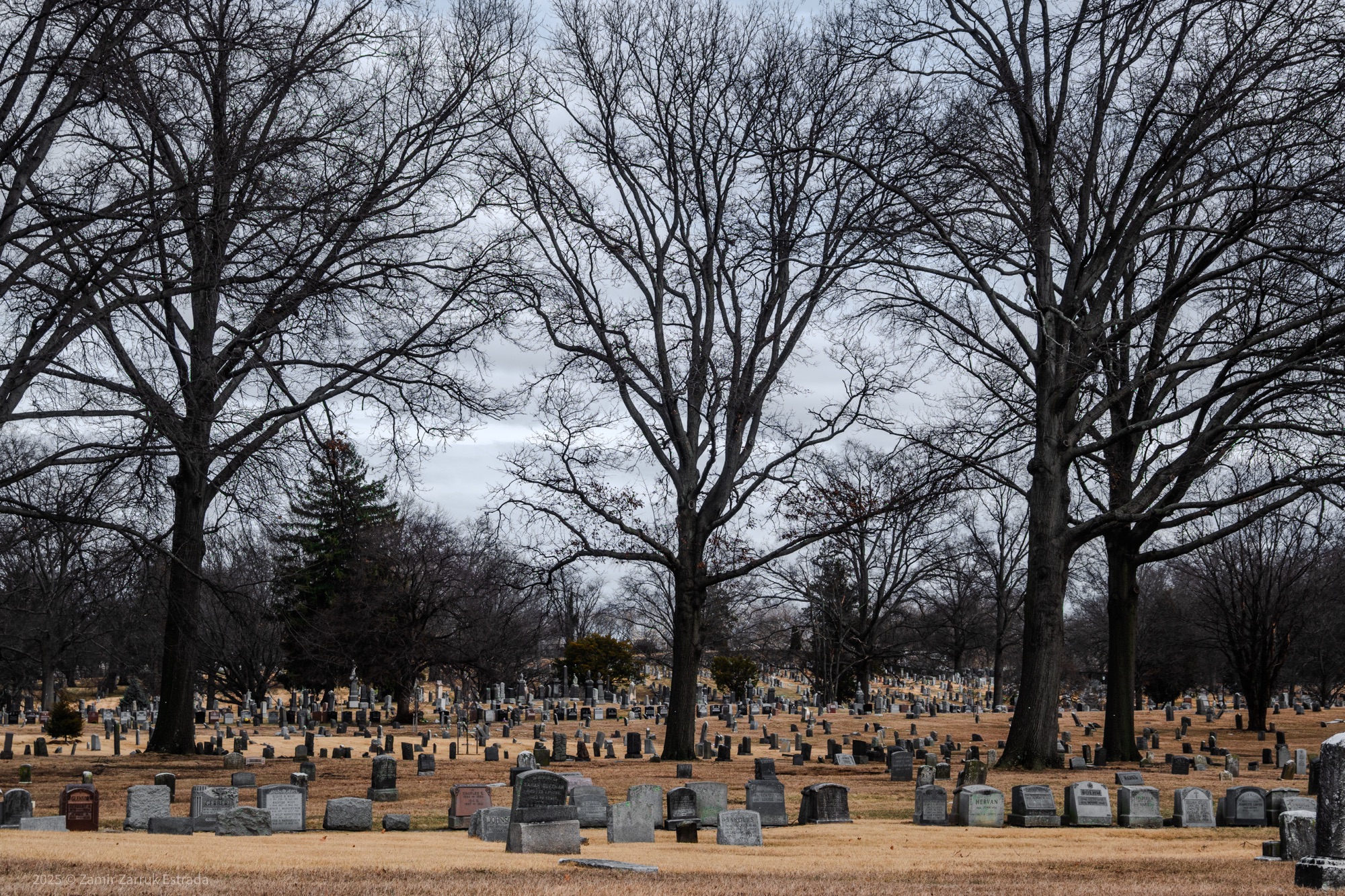 030625. Frustration Before a Great Meal.